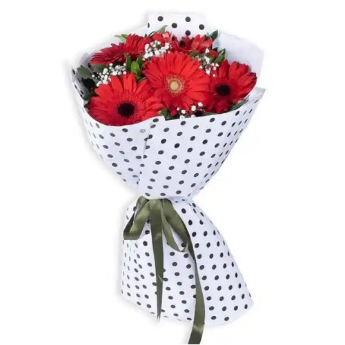 Sevgi Tutkusu 5 Kırmızı Gerbera Çiçek Buketi