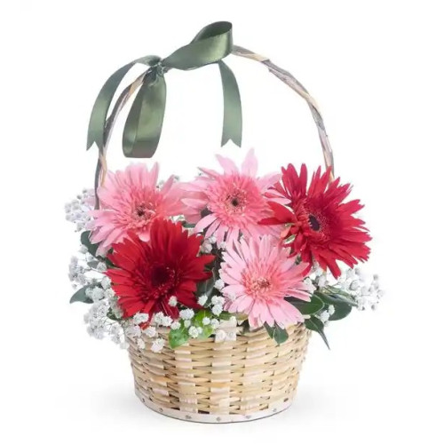 Zarif Gerbera Çiçek Sepeti