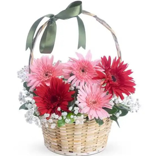 Zarif Gerbera Çiçek Sepeti