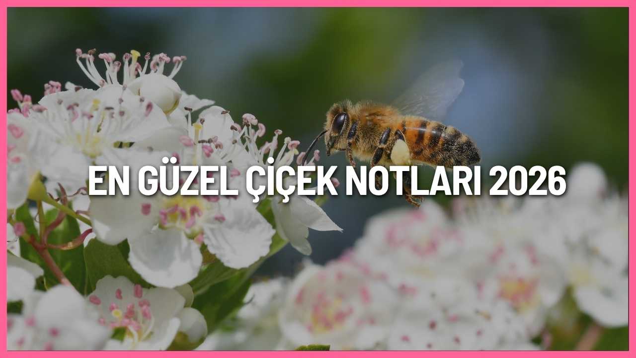 En güzel çiçek notları 2026 için sevgiliye, anneye, arkadaşa ve özel günlere uygun anlamlı çiçek kartı mesajları