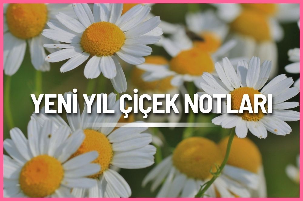Yeni yıl çiçek notları 2026 için sevgiliye, aileye, arkadaşa, iş arkadaşına ve müşterilere özel anlamlı mesajlar