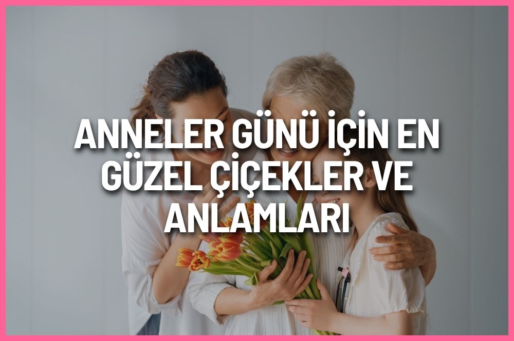 Anneler Günü için en güzel çiçekler ve anlamları 2026 rehberiyle anneye orkide, gül, papatya, lilyum ve buket önerileri