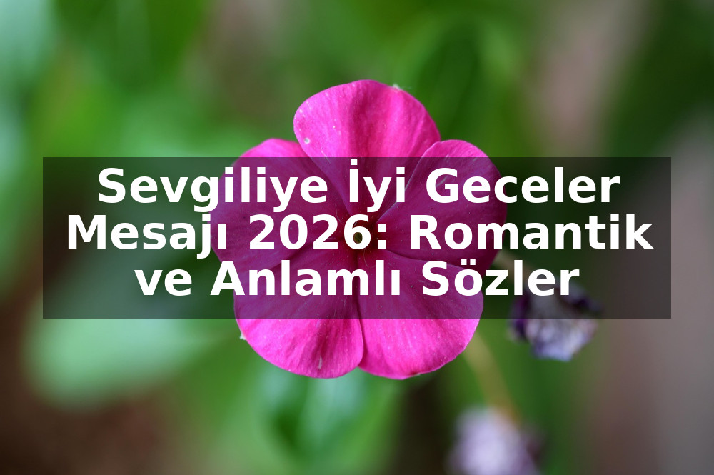 Sevgiliye İyi Geceler Mesajı 2026: Romantik ve Anlamlı Sözler