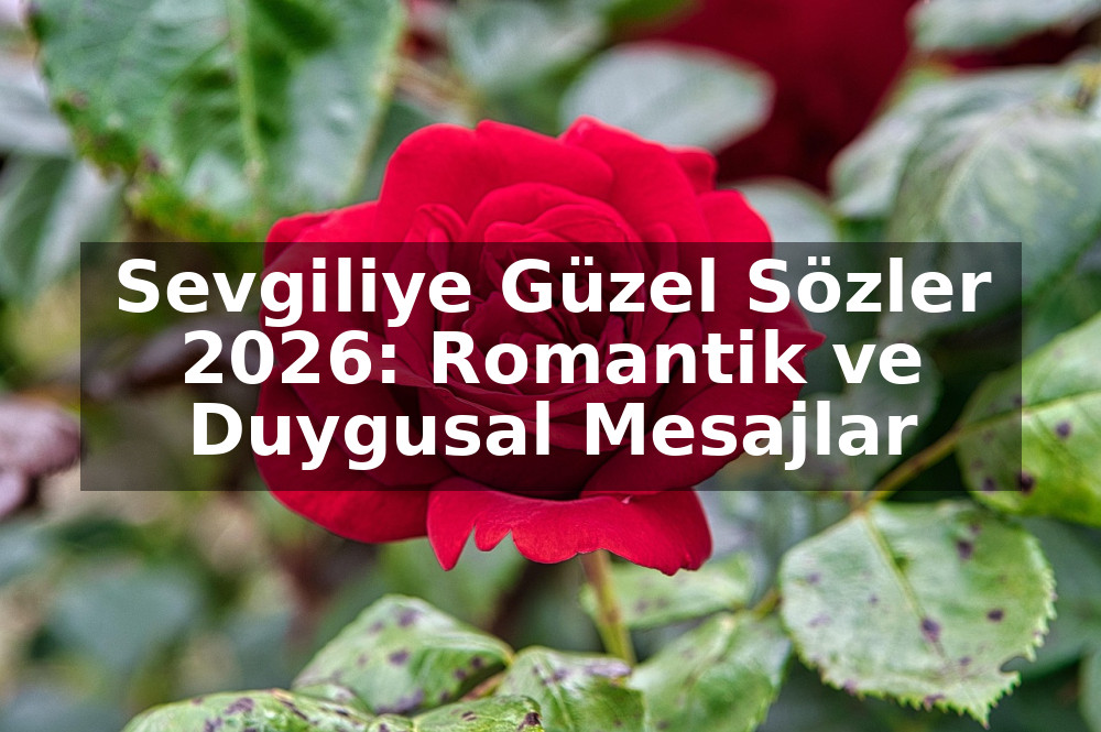 Sevgiliye Güzel Sözler 2026: Romantik ve Duygusal Mesajlar