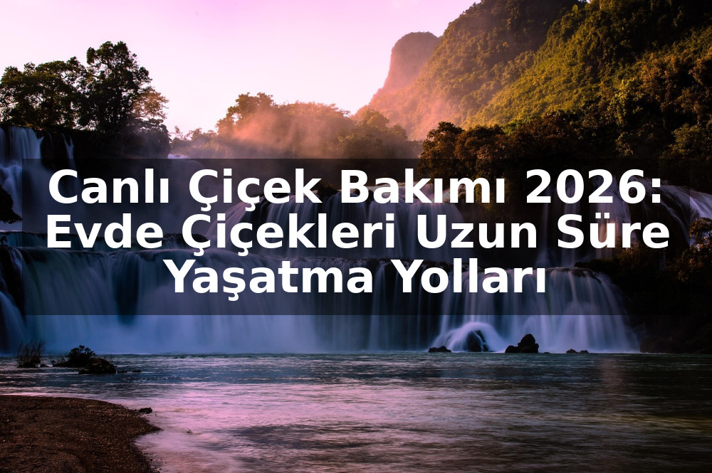 Canlı Çiçek Bakımı 2026: Evde Çiçekleri Uzun Süre Yaşatma Yolları