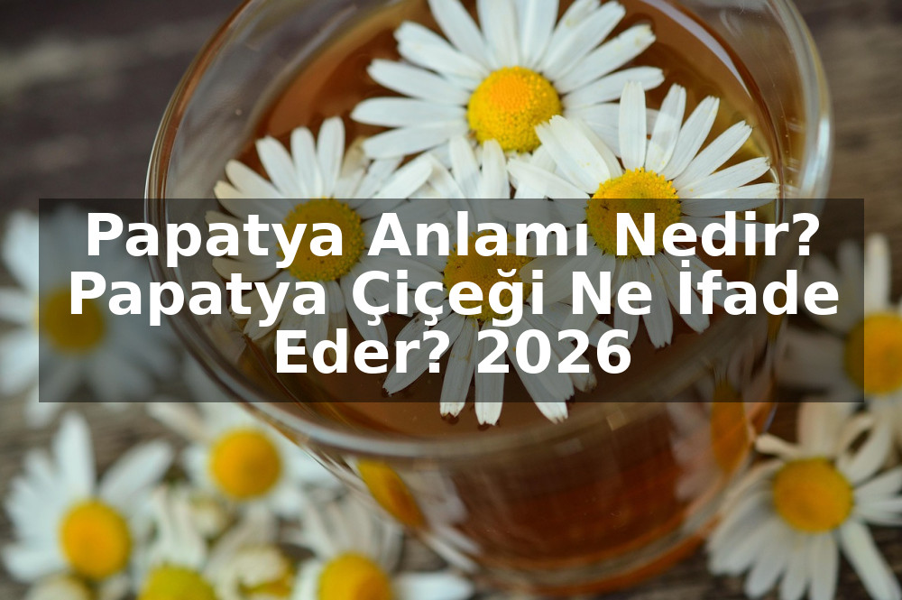 Papatya Anlamı Nedir? Papatya Çiçeği Ne İfade Eder? 2026
