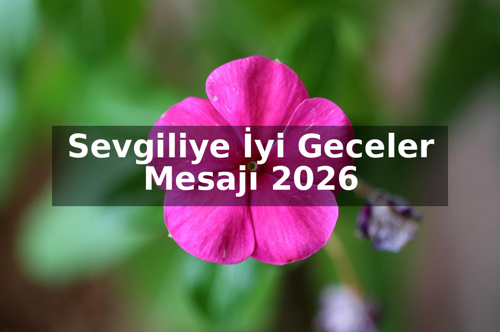Sevgiliye İyi Geceler Mesajı 2026