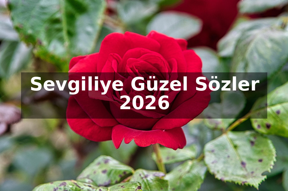 Sevgiliye Güzel Sözler 2026