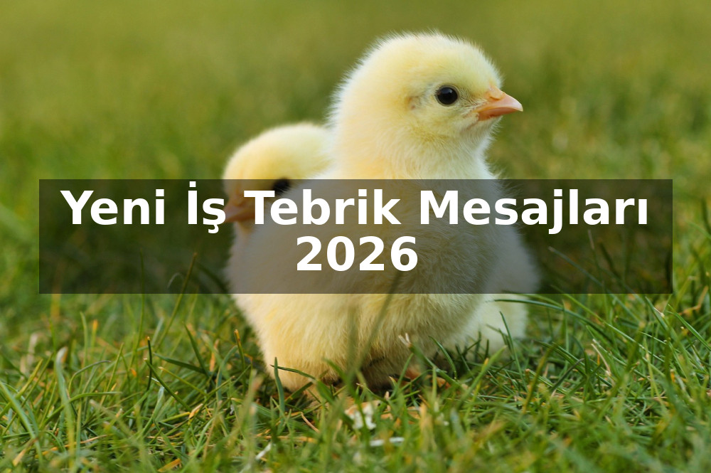 Yeni İş Tebrik Mesajları 2026