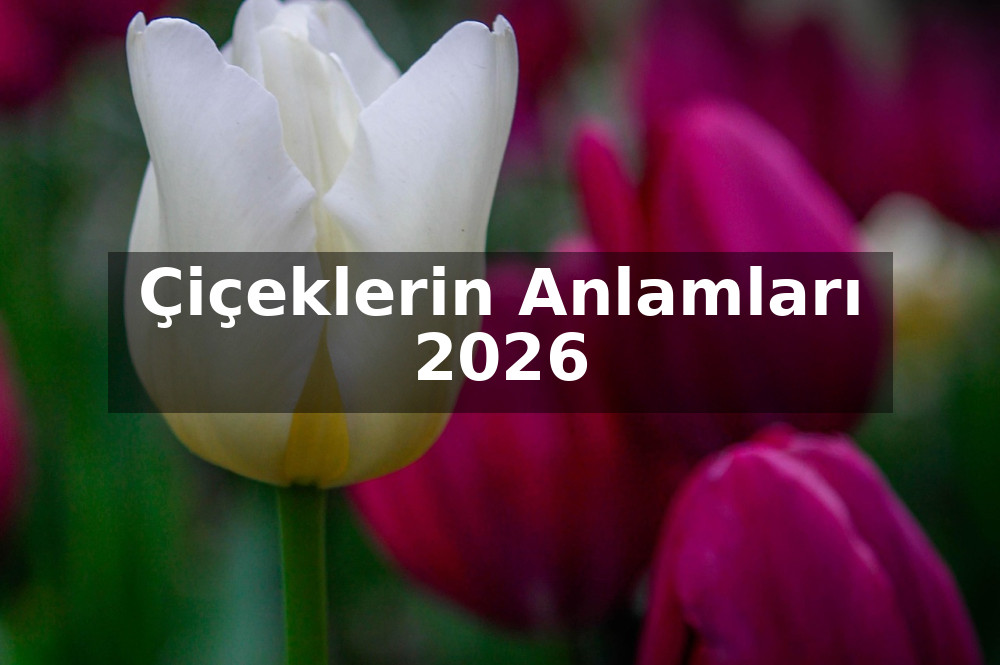 Çiçeklerin Anlamları 2026