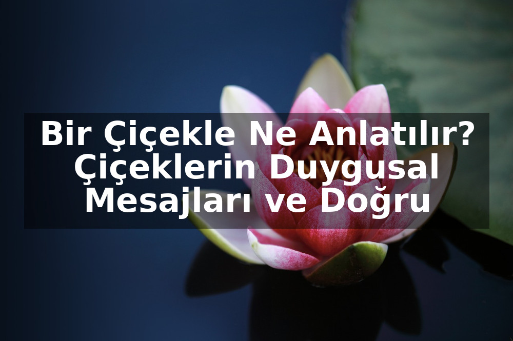 Bir Çiçekle Ne Anlatılır? Çiçeklerin Duygusal Mesajları ve Doğru Seçim Rehberi