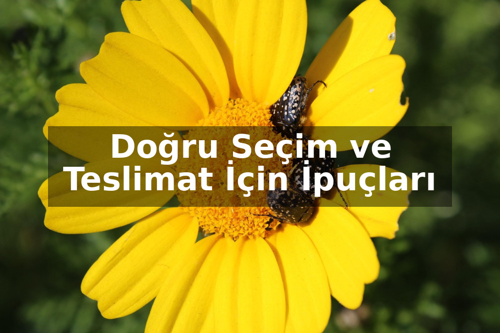 Çiçek Gönderirken Yapılan En Büyük Hatalar: Doğru Seçim ve Teslimat İçin İpuçları