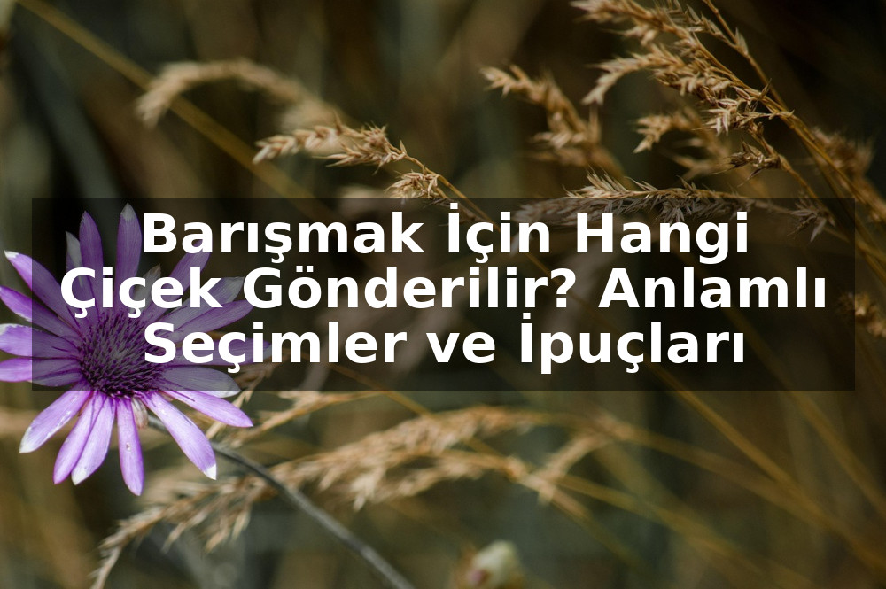 Barışmak İçin Hangi Çiçek Gönderilir? Anlamlı Seçimler ve İpuçları