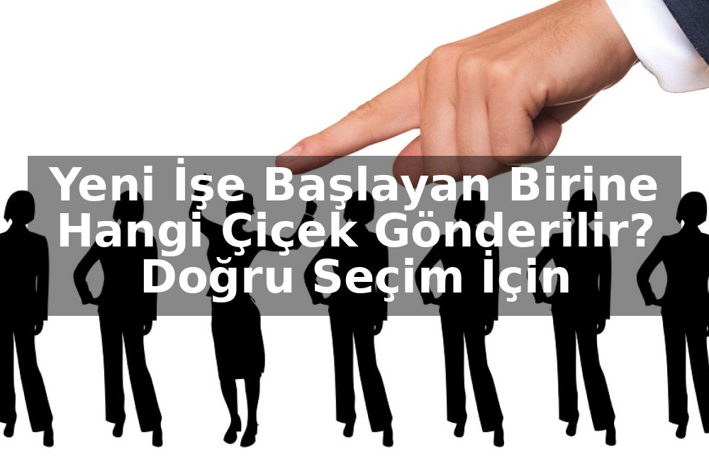 Yeni İşe Başlayan Birine Hangi Çiçek Gönderilir? Doğru Seçim İçin Bilmeniz Gerekenler