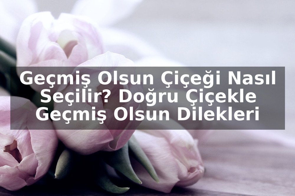 Geçmiş Olsun Çiçeği Nasıl Seçilir? Doğru Çiçekle Geçmiş Olsun Dilekleri