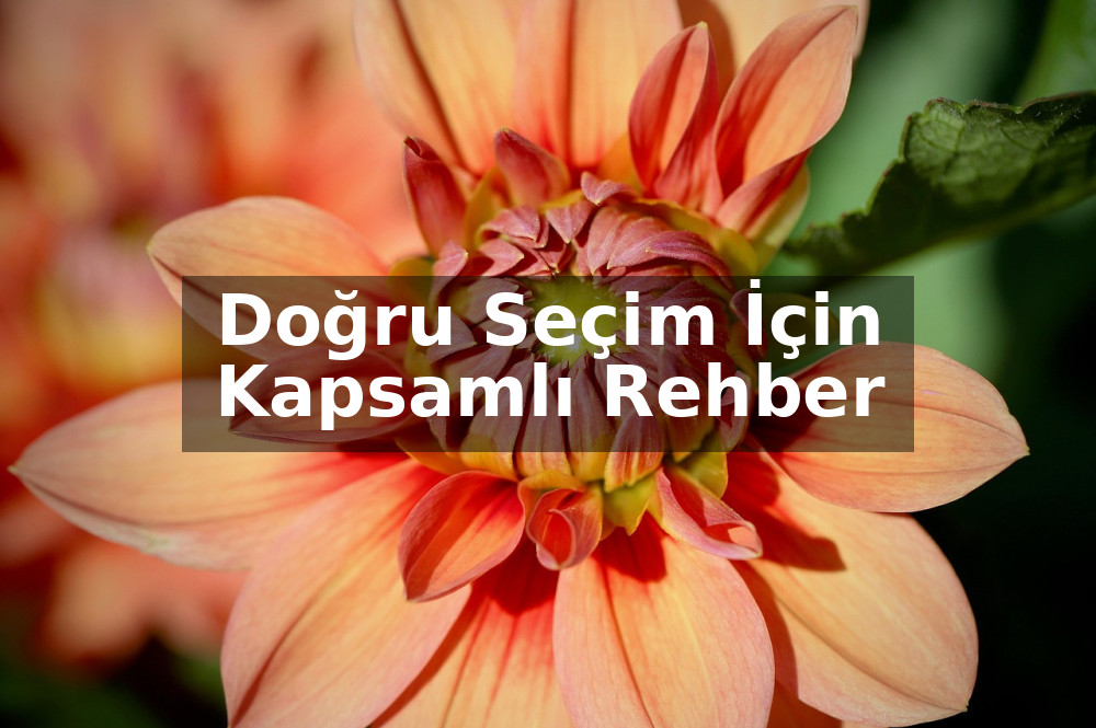 Açılış Çiçeği Seçerken Bunlara Dikkat Edin: Doğru Seçim İçin Kapsamlı Rehber