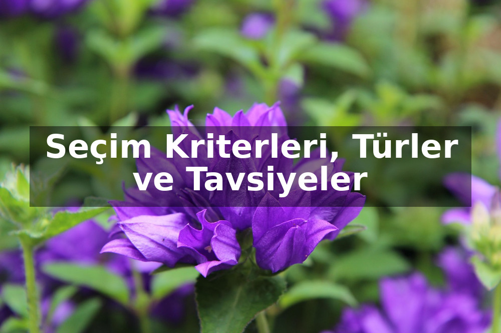 İş Yerine Gönderilecek En Şık Çiçekler: Seçim Kriterleri, Türler ve Tavsiyeler