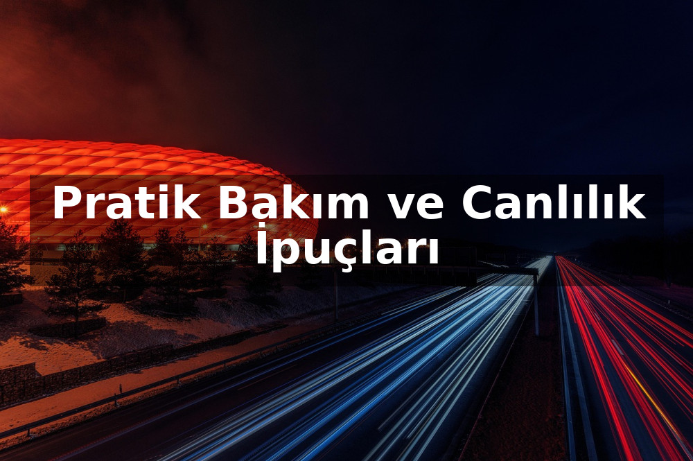 Orkideyi Uzun Süre Yaşatmanın Yolları: Pratik Bakım ve Canlılık İpuçları