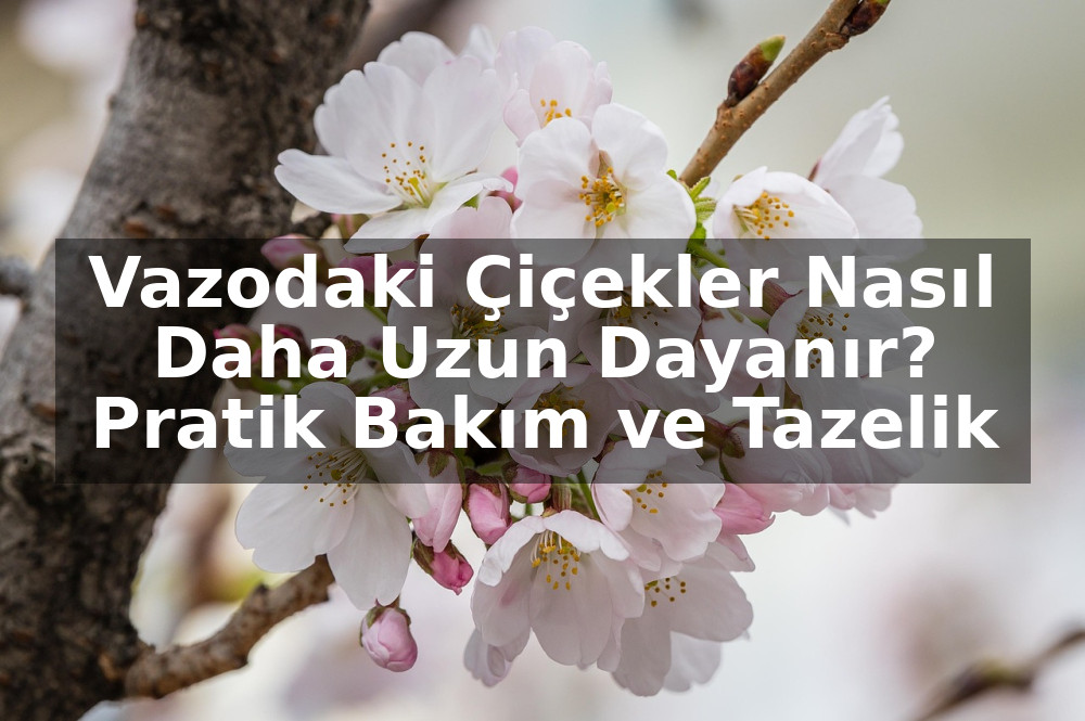 Vazodaki Çiçekler Nasıl Daha Uzun Dayanır? Pratik Bakım ve Tazelik İpuçları