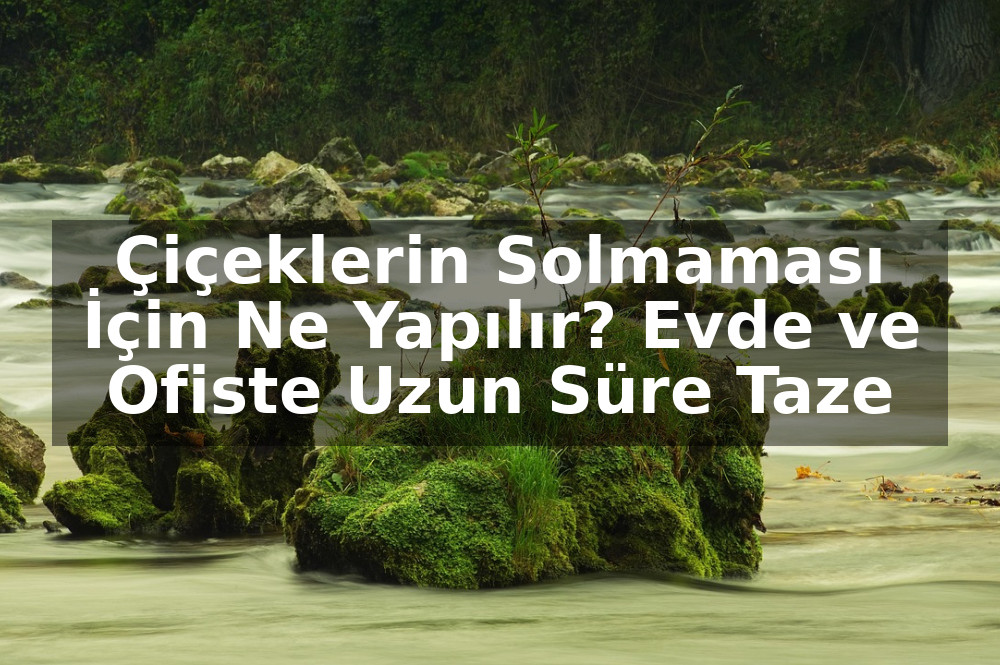 Çiçeklerin Solmaması İçin Ne Yapılır? Evde ve Ofiste Uzun Süre Taze Çiçekler İçin İpuçları