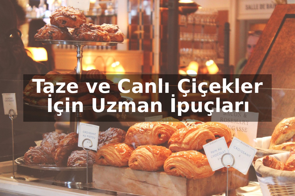 Evde Çiçek Bakmanın Püf Noktaları: Taze ve Canlı Çiçekler İçin Uzman İpuçları