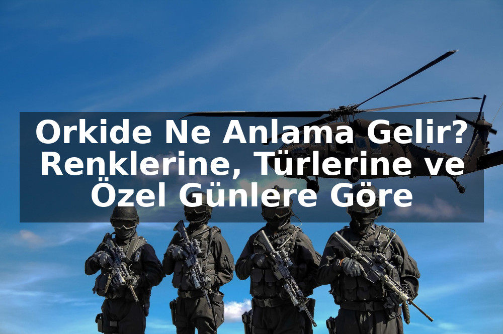 Orkide Ne Anlama Gelir? Renklerine, Türlerine ve Özel Günlere Göre Anlamları