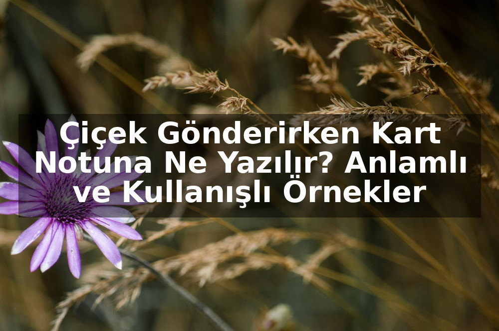 Çiçek Gönderirken Kart Notuna Ne Yazılır? Anlamlı ve Kullanışlı Örnekler