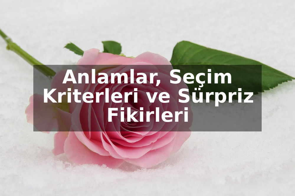 Yıldönümü İçin En Güzel Çiçekler: Anlamlar, Seçim Kriterleri ve Sürpriz Fikirleri