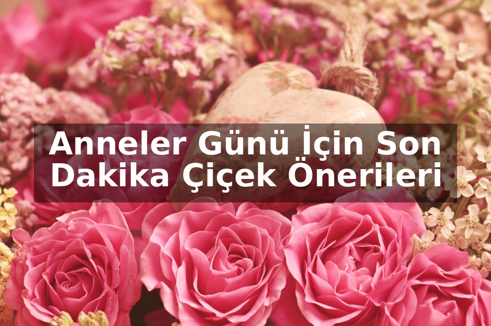Anneler Günü İçin Son Dakika Çiçek Önerileri
