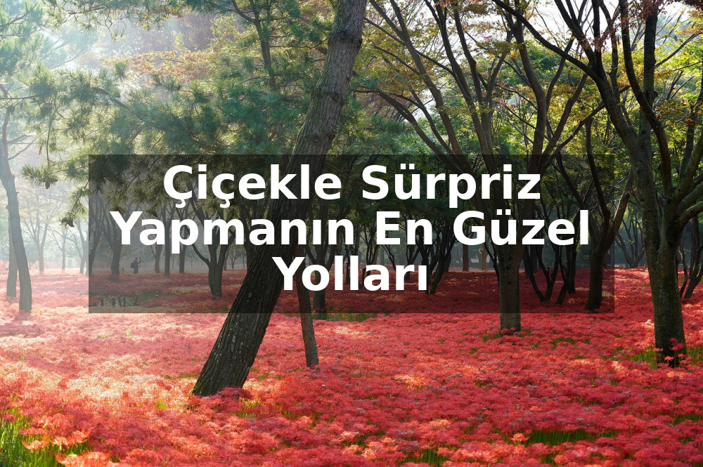 Çiçekle Sürpriz Yapmanın En Güzel Yolları