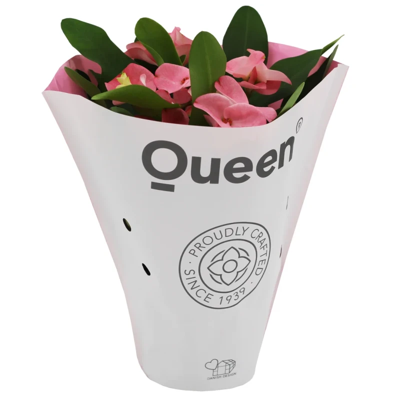 Euphorbia Milii - Dikenli Taç 