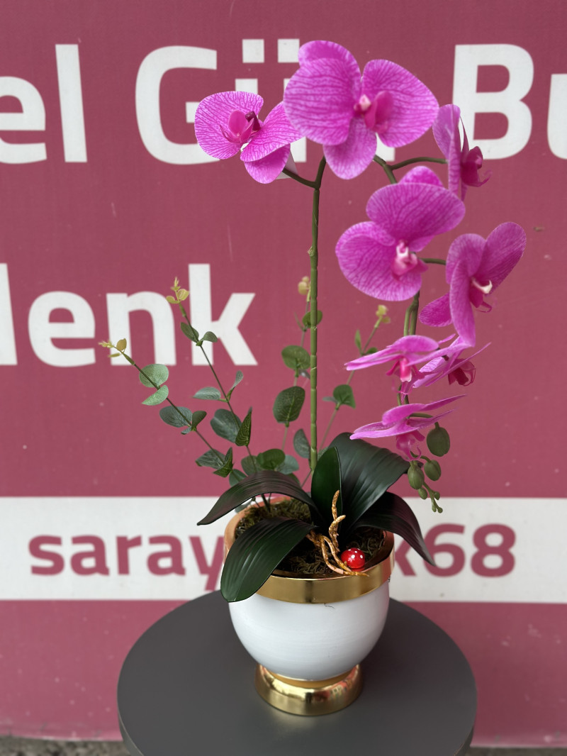 Islak orkide koyu pembe