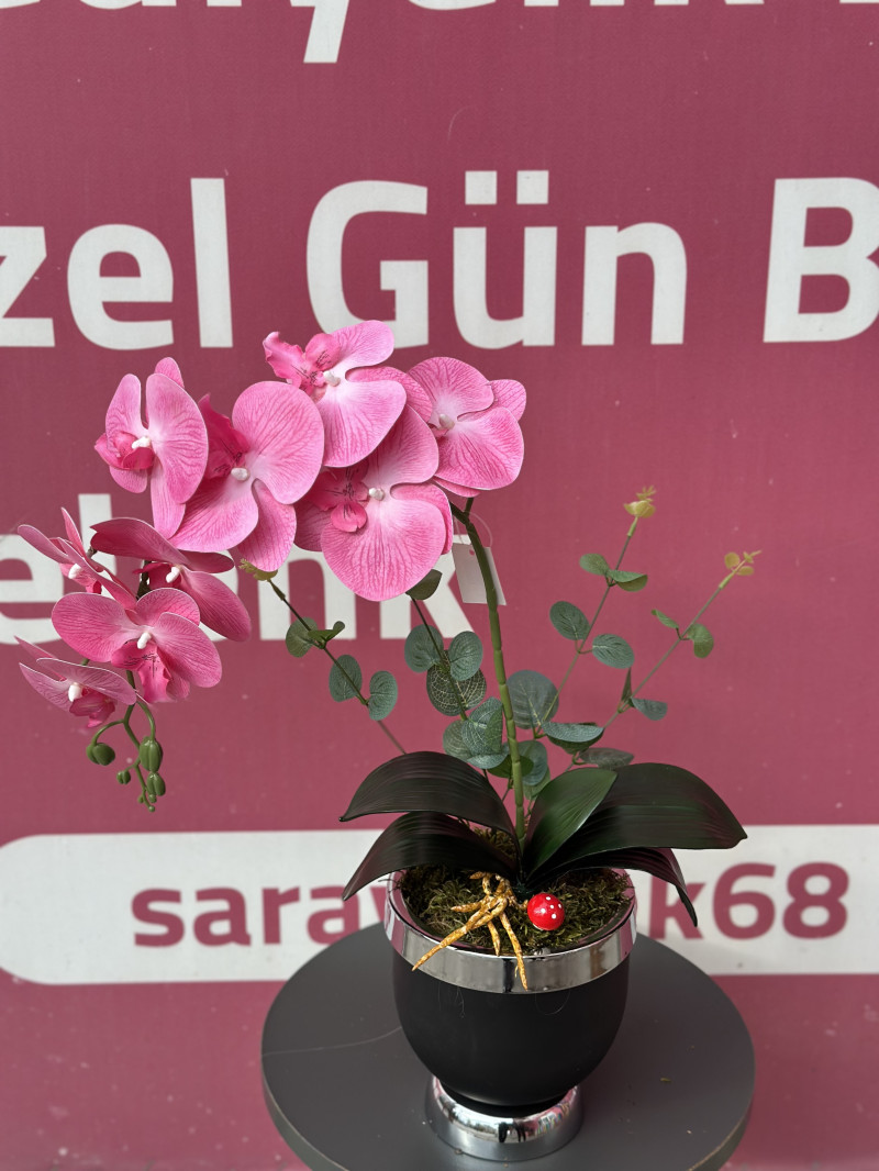 Islak toz pembe orkide