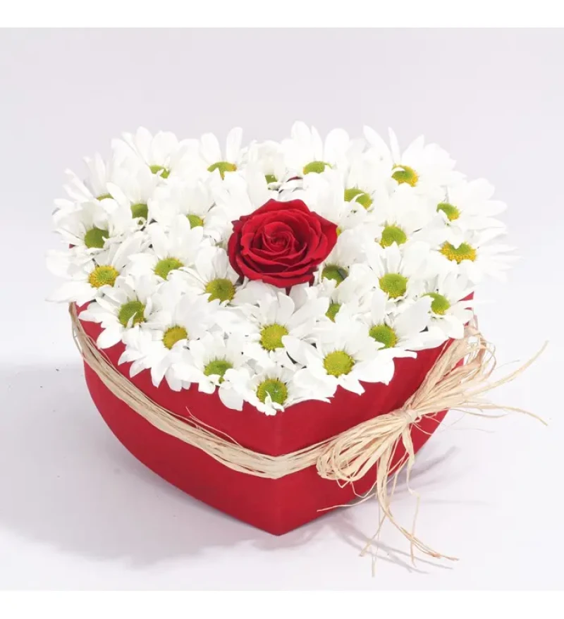 Kalpli Kutuda Gül Ve Papatya