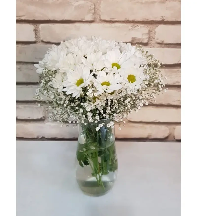 Vazoda Beyaz Papatya