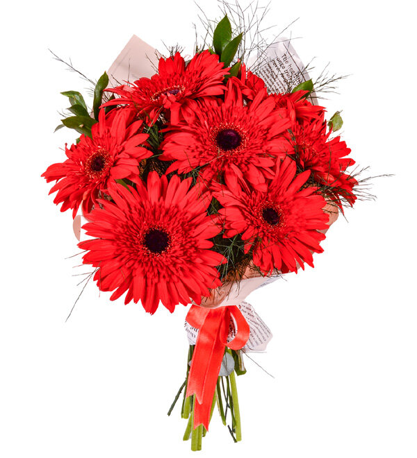 Gönül Baharı Kırmızı Gerbera Buketi