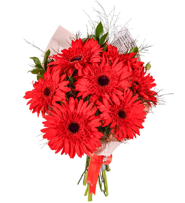 Gönül Baharı Kırmızı Gerbera Buketi