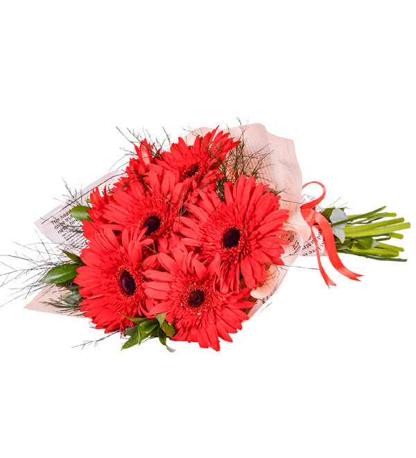Gönül Baharı Kırmızı Gerbera Buketi