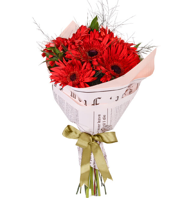 Kırmızı Zarafet Gerbera Buketi