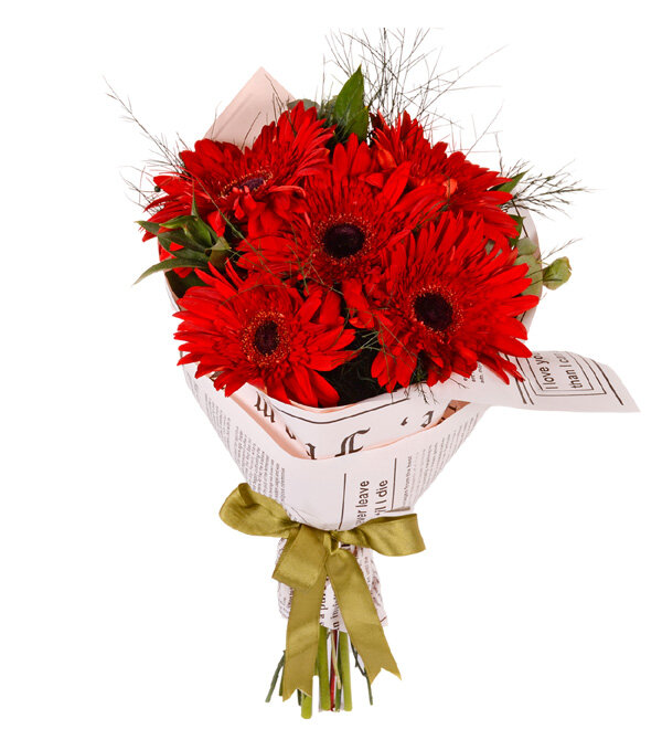 Kırmızı Zarafet Gerbera Buketi