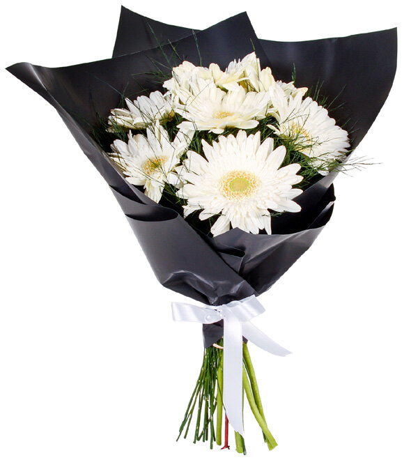 Siyah Ambalajda 7 Beyaz Gerbera Buketi