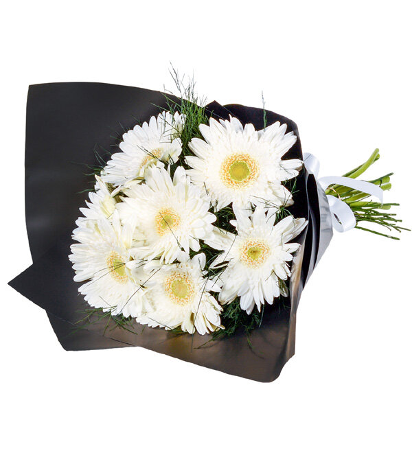 Siyah Ambalajda 7 Beyaz Gerbera Buketi