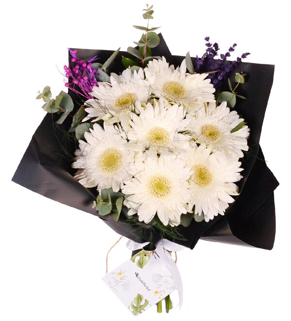 Siyah Şıklıkta 7 Beyaz Gerbera Buketi