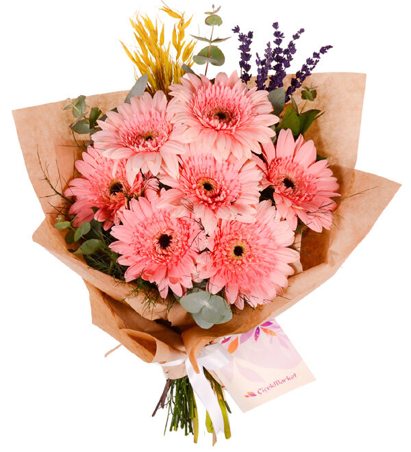 Pembe Neşe 7'li Gerbera Buketi