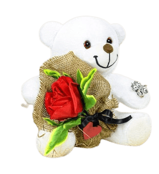 Peluş Ayıcık ve gül 